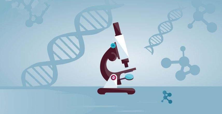 胎儿亲子鉴定多少钱一次？无创亲子鉴定胎儿亲子鉴定是什么？