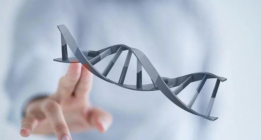 做一次dna鉴定需要多少钱?什么方法更安全?