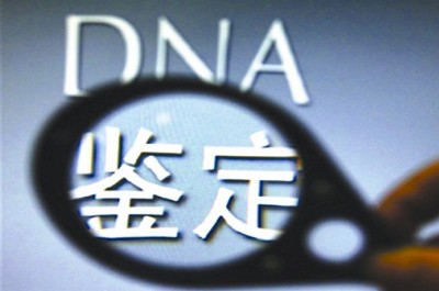 亲子鉴定费要多少