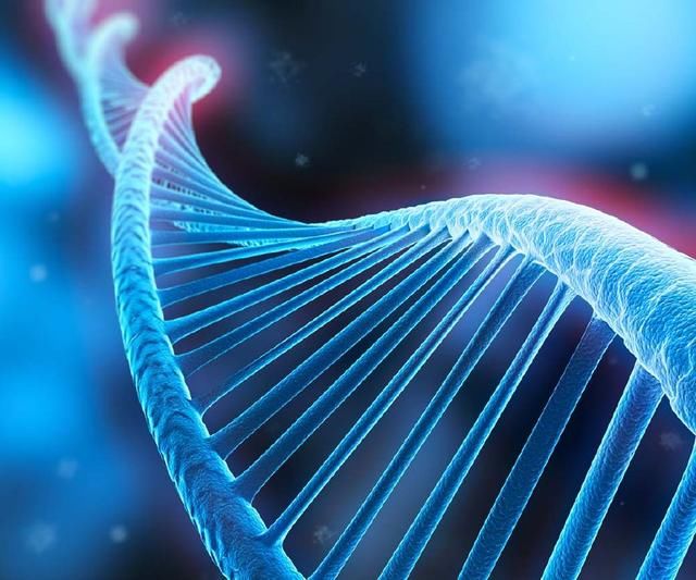 dna检测要花多少钱？为什么收费标准不一样