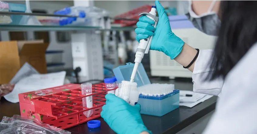 亲子鉴定周末可以做吗 检测的一般流程都是什么