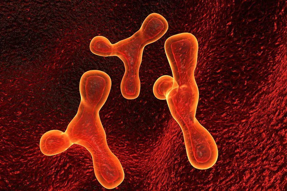 亲子鉴定要多久才可以做 胎儿需要发育多少周才能检测