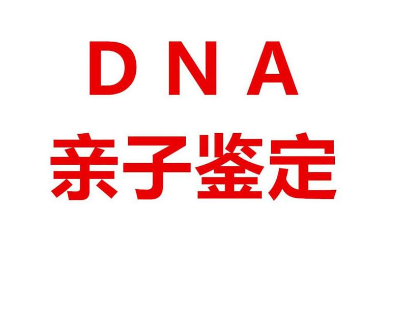 做亲子鉴定多久拿结果？效率高低受什么因素影响？