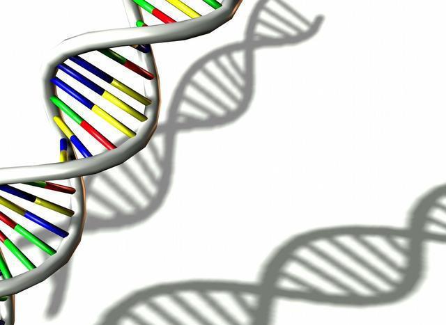 做dna鉴定头发剪下来的可以吗?什么方法准确性更可观?