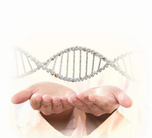 青龙县城医院能做dna吗 有没有必要跑到大城市做检测