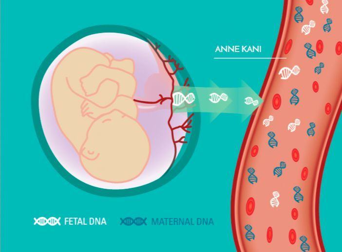 女性怀孕多久可以亲子鉴定？孕妇做亲子鉴定时需注意什么？