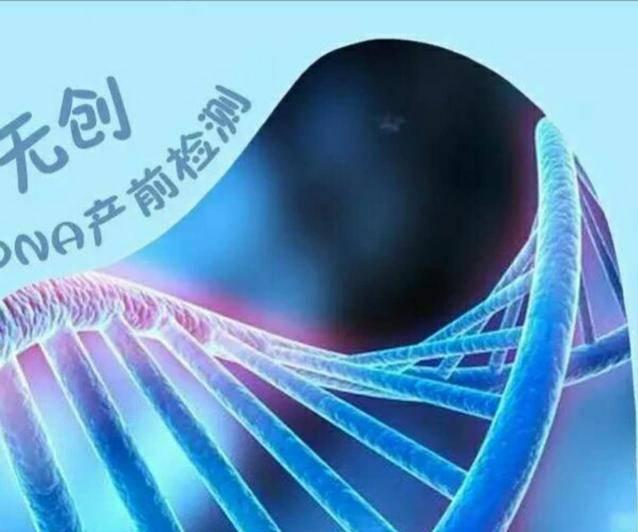 孕检无创亲子鉴定多少钱 怀孕妈妈可以做亲子鉴定吗