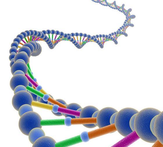 网上亲子鉴定靠谱吗 通过什么途径预约鉴定更放心