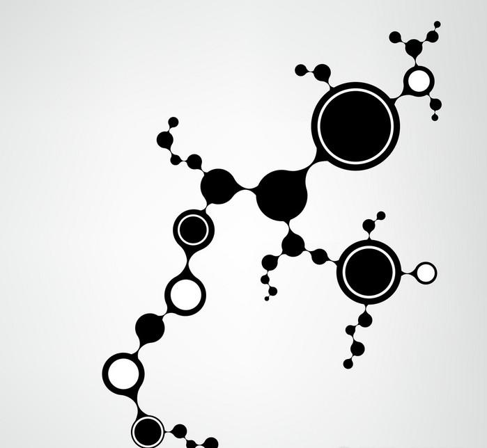 dna分子的结构是什么结构 dna鉴定需要多少钱