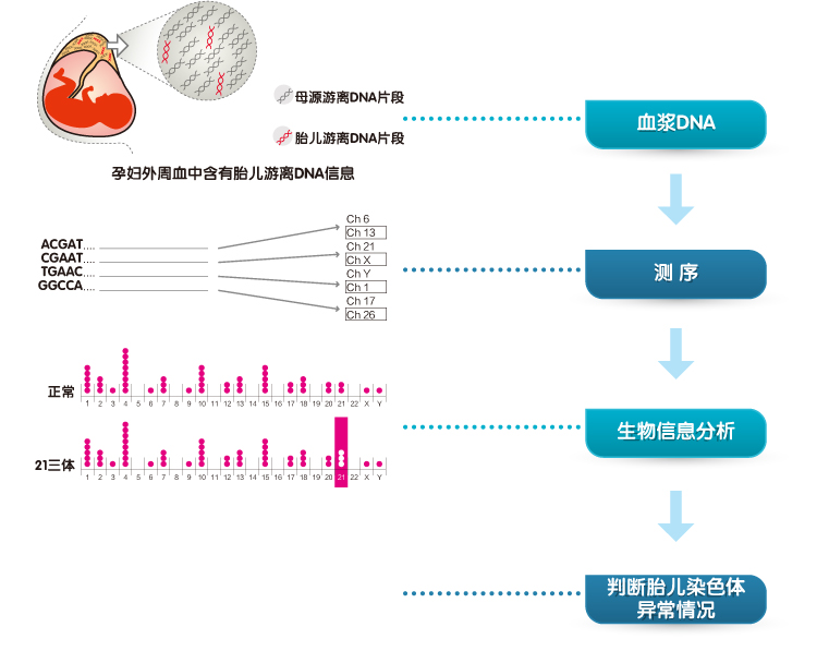 无创亲子鉴定多少钱做一次 无创与无创亲子鉴定的区别在哪里