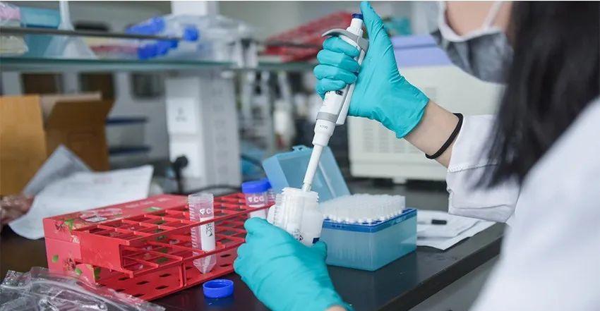 北京做亲子鉴定需要多少钱,需要提供什么 dna鉴定样本有哪些