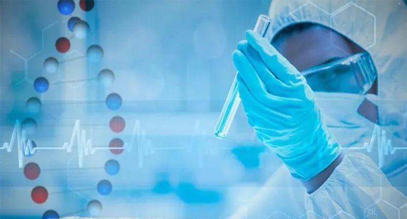dna 亲子鉴定需要多少钱?