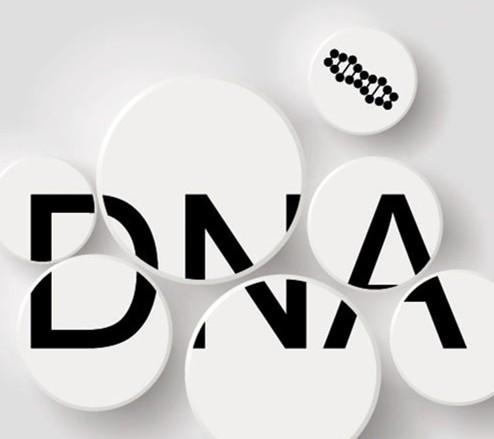 用头发做亲子鉴定的准确度是多少 更准确的方法是什么