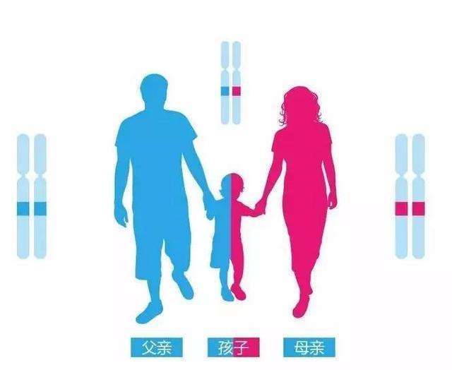 亲子鉴定是怎么做的 到底是哪种医院做鉴定更加专业