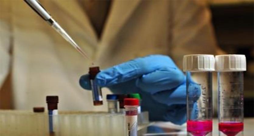 dna怎么做胎儿更安全 要多久能拿到检测结果