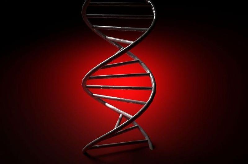 三亚做亲子鉴定在哪里 亲子鉴定都需要准备些什么