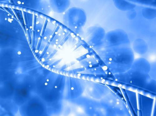 宁波做亲子鉴定在哪里做 亲子鉴定会出错吗