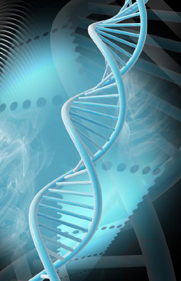 dna哪里可以鉴定 dna鉴定费用是多少