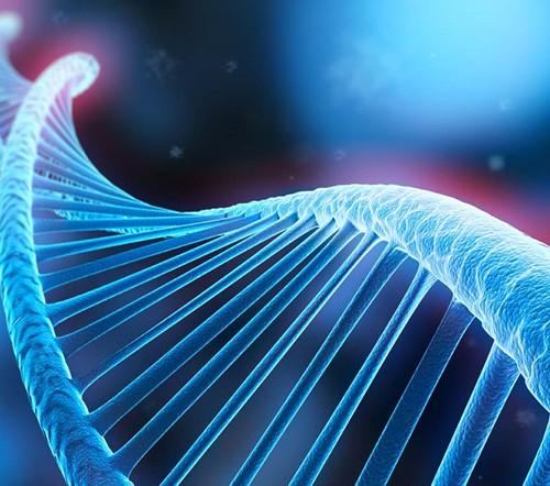 亲子鉴定要多久拿结果 亲子鉴定注意事项