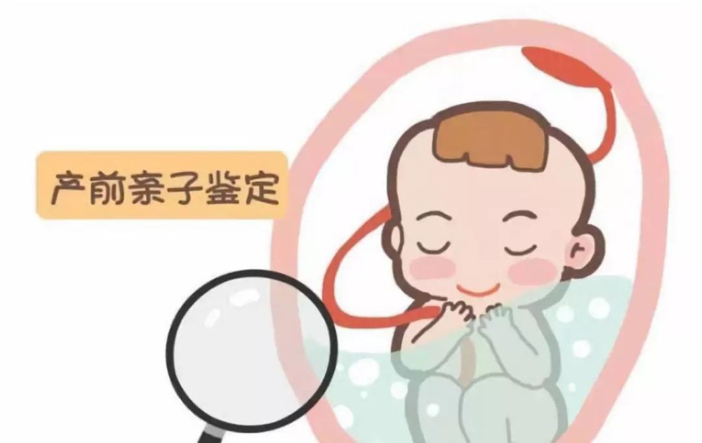 怀孕能做亲子鉴定吗?多少钱 流程是什么