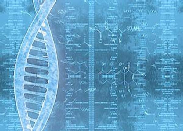 天水市亲子鉴定中心在哪 做亲子鉴定多少钱