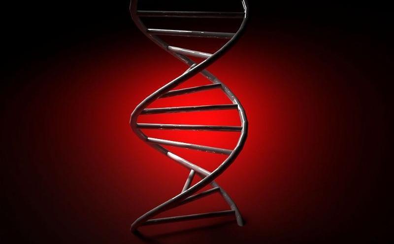 武汉亲子鉴定在哪里做,费用是多少钱