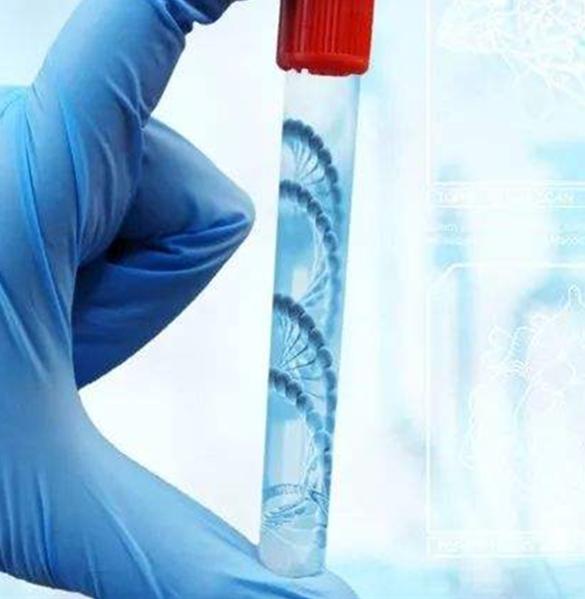 做亲子鉴定需要什么手续？哪里医院亲子鉴定？